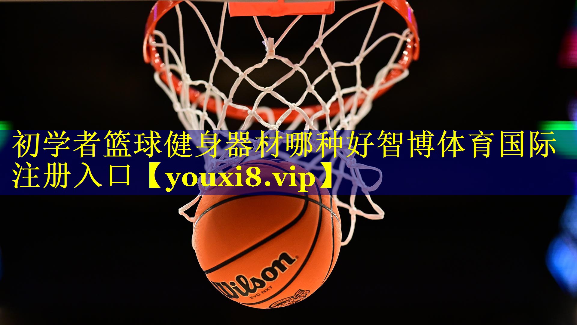 初学者篮球健身器材哪种好智博体育国际注册入口