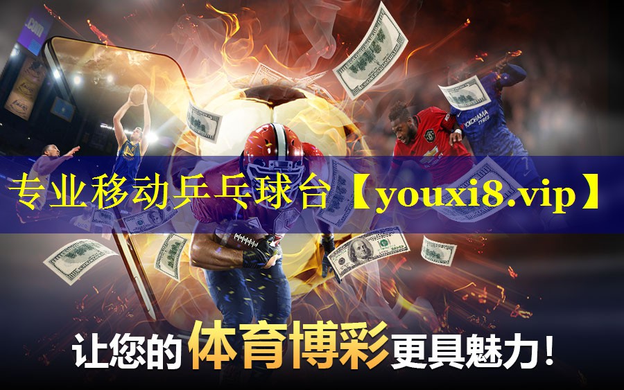 <strong>专业移动乒乓球台</strong>